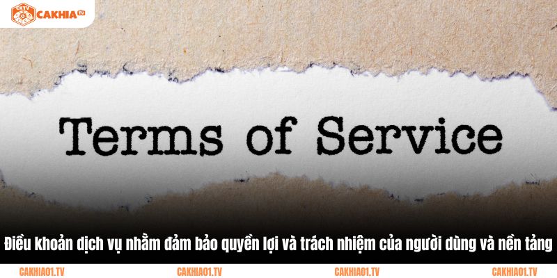 Điều khoản dịch vụ nhằm đảm bảo quyền lợi và trách nhiệm của người dùng và nền tảng