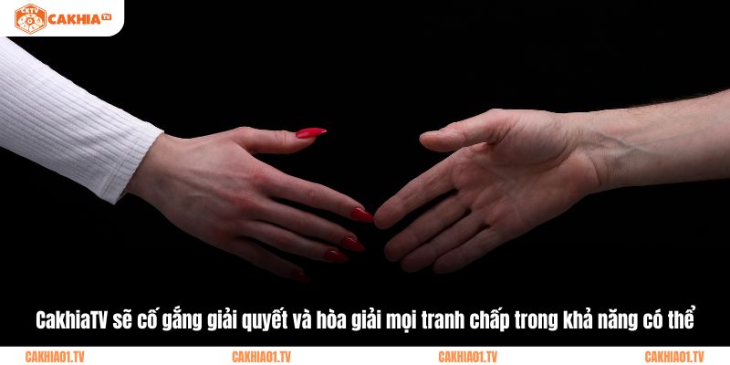 CakhiaTV sẽ cố gắng giải quyết và hòa giải mọi tranh chấp trong khả năng có thể